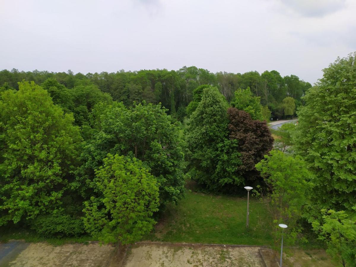 Sweet Apartman Zalakaros Dış mekan fotoğraf